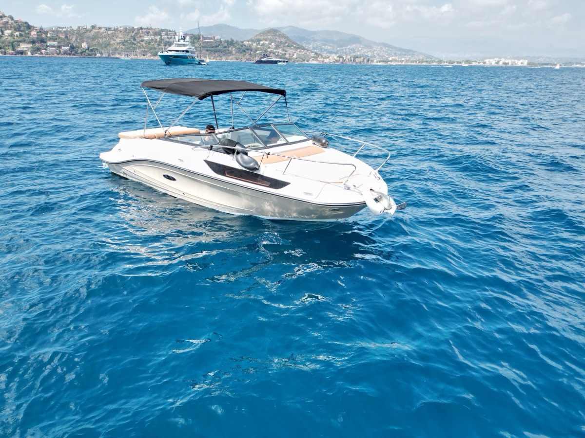 Sea Ray SPX 230 « Eldorado » (2017)