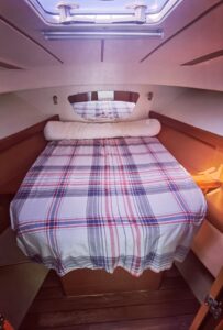 IMG_20250815_101238_resized_20250815_103232762